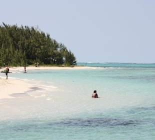 Ile aux Cerfs