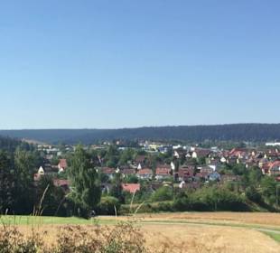 Naturschutzgebiet Forchenkopf Wittlensweiler