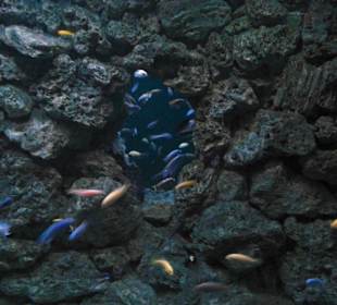 Tierpark Hellabrunn in München