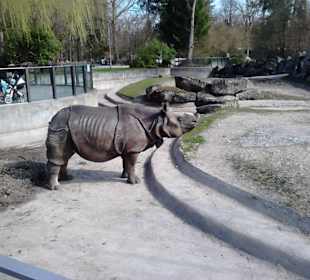 Tierpark Hellabrunn in München