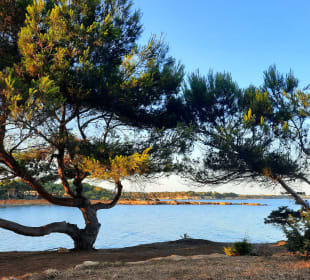 Strände Santa Eulària des Riu