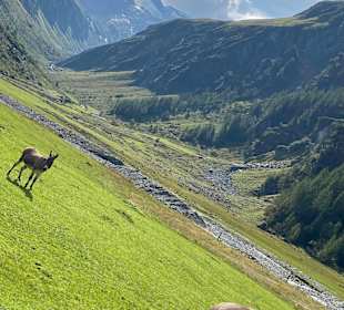Wandern Neukirchen am Großvenediger