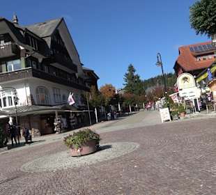 Stadtrundgang Titisee