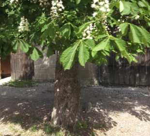 Hohenloher Freilandmuseum 