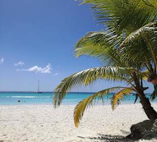 Mittag auf Saona 2. Strand