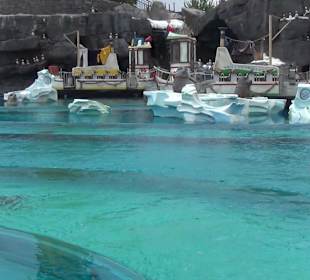 Themenbereich Island