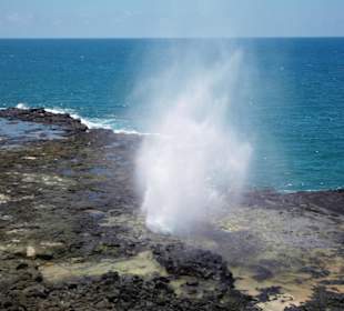 Spouting Horn