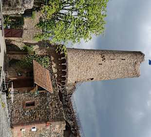 Burgruine Windeck