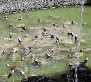 Świątynia Kek Lok Si