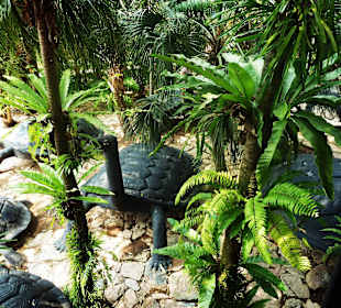 Tropical Garden Nong Nooch