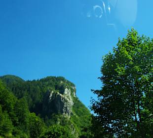 Immer wieder was neues zum Entdecken 