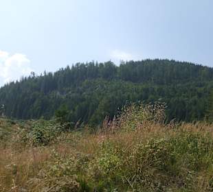 Parcul Natural Apuseni