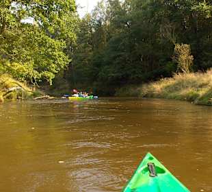Mała Panew-widok z kajaku