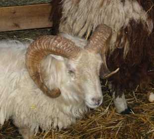 Hellbrunner Kinderweihnachtswelt