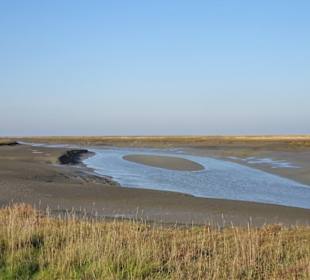 Rundgang durch den Langwarder Groden