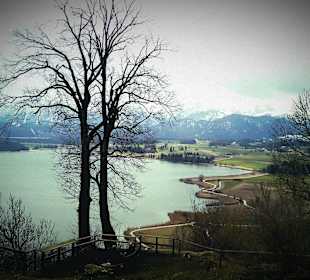 Ausblick von der Burgruine