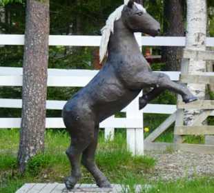 Hier geht's zum Ponyreiten