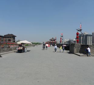 Spacer po murach w słońcu