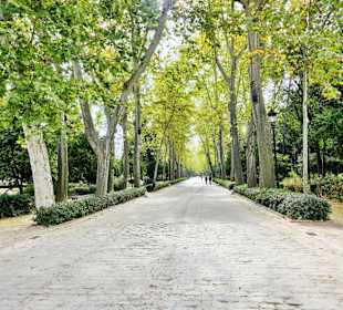 María-Luisa-Park