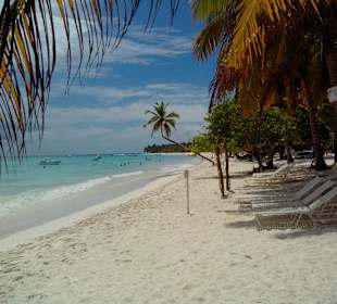 Insel Saona- einfach traumhaft