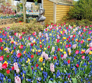 Blumenpracht im Keukenhof
