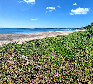 Stadtstrand Kenting City