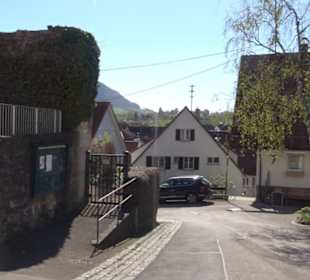 Stadtbefestigung am "Törlesrain"