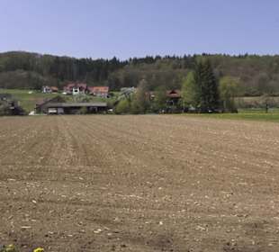 Waldlehrpfad an der Lauter