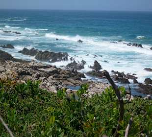 Natur Wellenbrecher