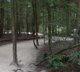 Dinosaurier Museum Altmühltal