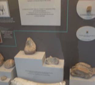 Ghar Dalam Cave & Museum