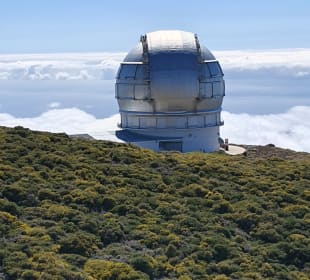 Wandern Los Cancajos