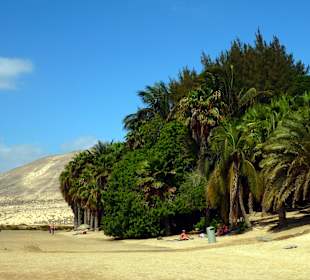 Bei Costa Calma / Windsurfing 