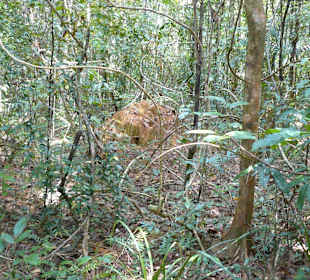 Ream National Park