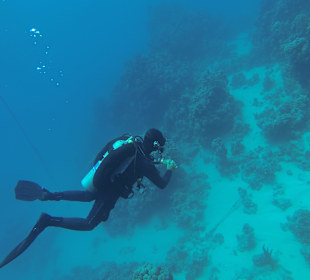 Emperor Divers