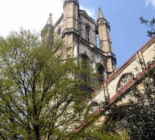 Kepp looking up - there's always something to see