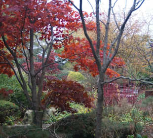 Parkanlage Planten un Blomen
