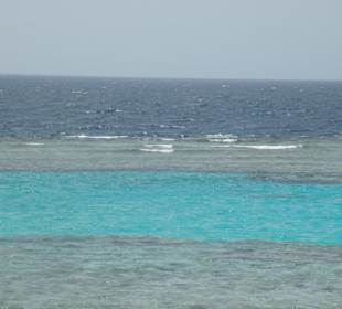 Lagune