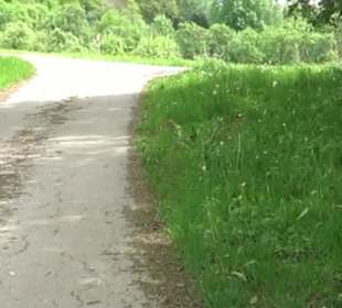 Naturpark Schönbuch