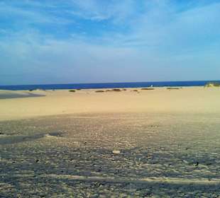 Parque Natural de las Dunas de Corralejo