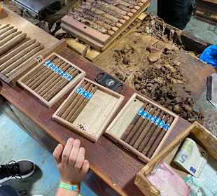 Stadtrundfahrt Bavaro