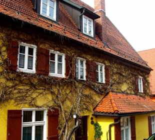 Haus mit wilden Wein
