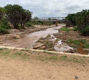Man-Eater Territorium