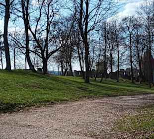 Burg Ruine Honberg in Tuttlingen