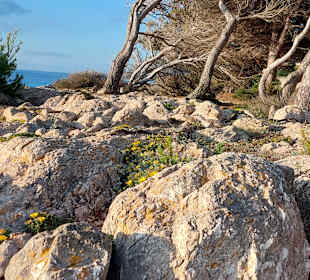 Wandern Cala Ratjada
