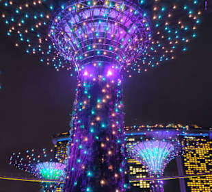 Super Trees bei Nacht 