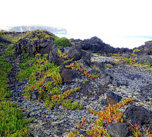 Inselrundfahrt Nordküste