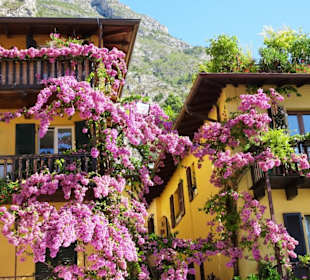 Streifzug durch die Altstadt von Limone