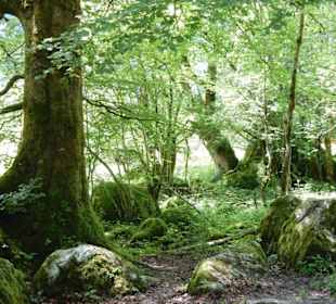 Wanderung zum Obersee