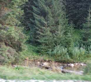 Parcul Natural Apuseni